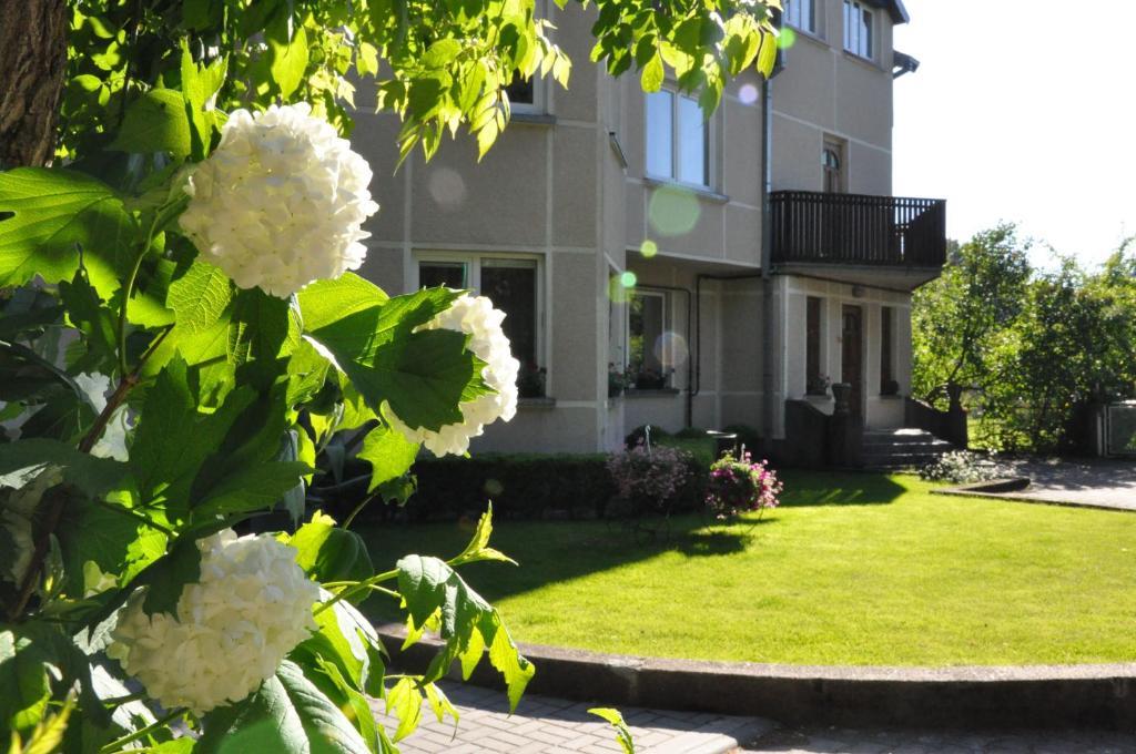 Elena Hotel Palanga Exterior foto